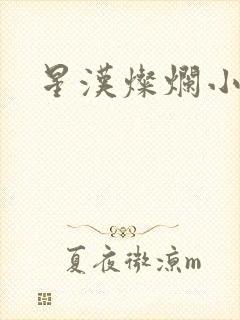 星汉灿烂小说
