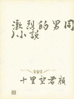 激烈的男同(h)小说