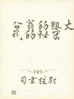 公翁的粗大放进我的秘密