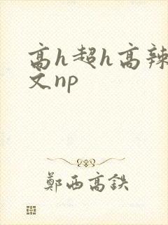 高h超h高辣h文np