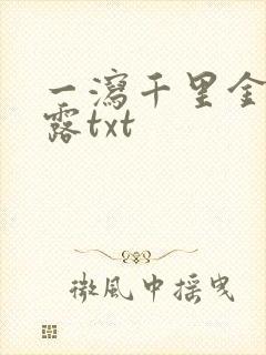 一泻千里金银花露txt