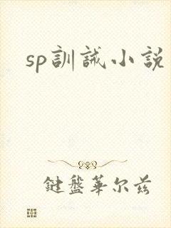 sp训诫小说
