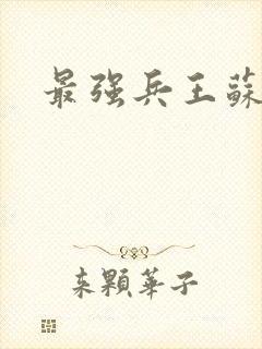 最强兵王苏锐封面