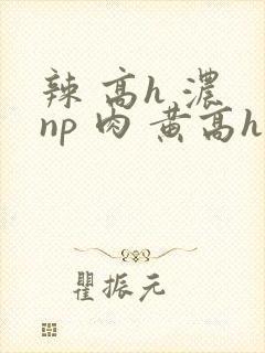 辣 高h 浓 np 肉 黄高h