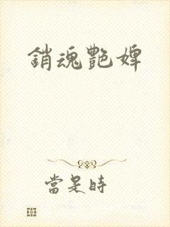 销魂艳婢封面