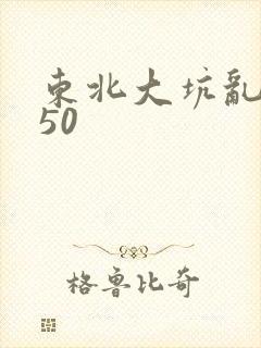 东北大坑乱1—50封面