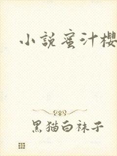 小说蜜汁樱桃