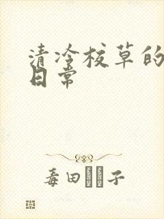 清冷校草的抹布日常