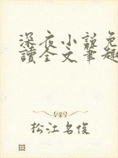 深夜小说免费阅读全文笔趣阁封面