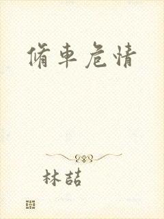 修车危情