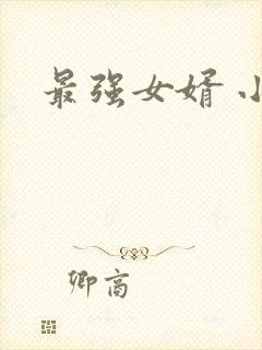 最强女婿 小说