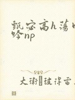 甄宓高h荡肉呻吟np