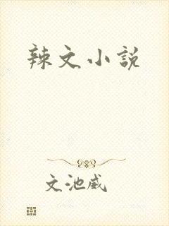 辣文小说封面