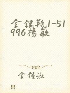 金银瓶1-51996杨敏封面