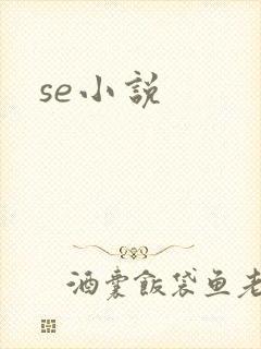se小说