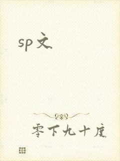 sp文封面