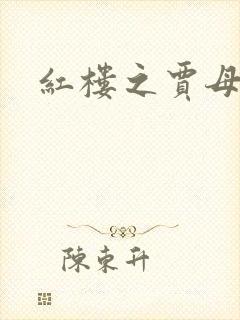 红楼之贾母