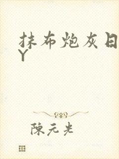 抹布炮灰日记BY封面