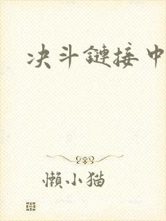 决斗链接中文网封面