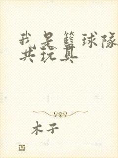 我是篮球队的公共玩具封面