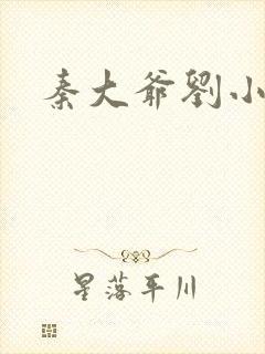 秦大爷刘小静