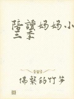 陪读妈妈小说第三季