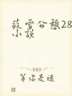 苏雪公憩28篇小说封面