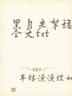 黑月光拿稳小说全文txt