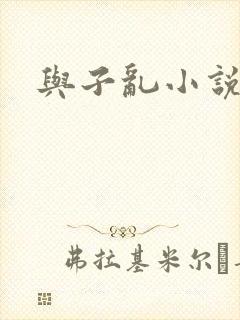 与子乱小说