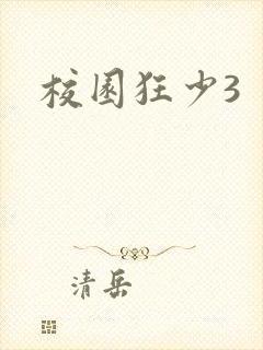 校园狂少3