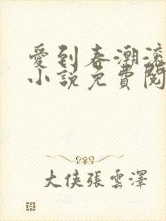 爱到春潮滚滚来小说免费阅读