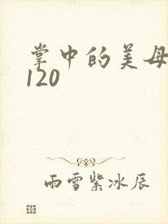 掌中的美母版主120封面