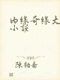内缘奇缘大团圆小说