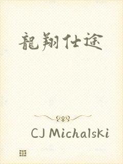龙翔仕途