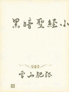 黑暗圣经小说封面