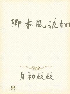 卿本风流txt