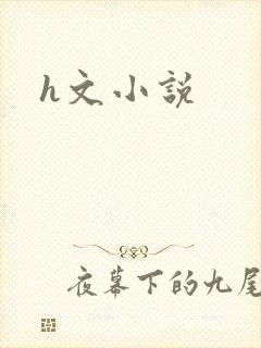 h文小说