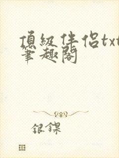 顶级伴侣txt笔趣阁封面