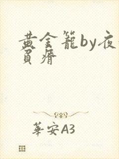 黄金笼by夜很贫瘠封面