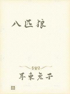 八匹狼