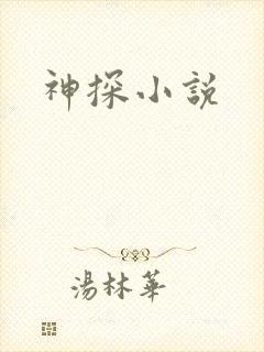 神探小说