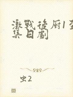 激战后厨1至5集日剧