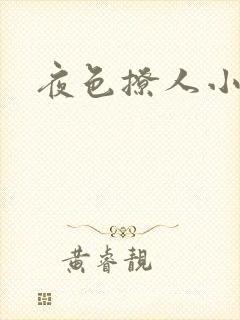 夜色撩人小说