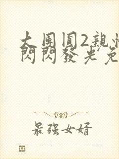 大团圆2亲情会闪闪发光免费