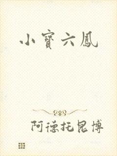 小宝六凤