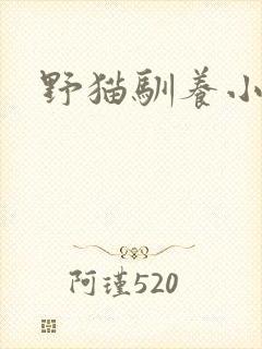 野猫驯养小说封面