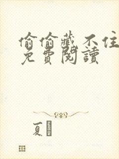偷偷藏不住小说免费阅读