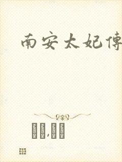 南安太妃传封面