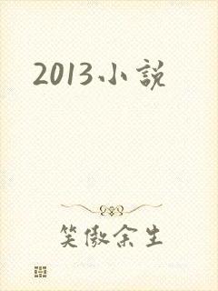 2013小说