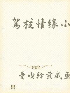 驾校情缘小说